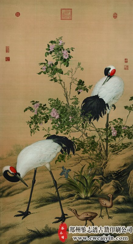 清 郎世宁 花阴双鹤.jpg